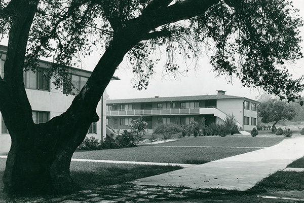 quadrangle