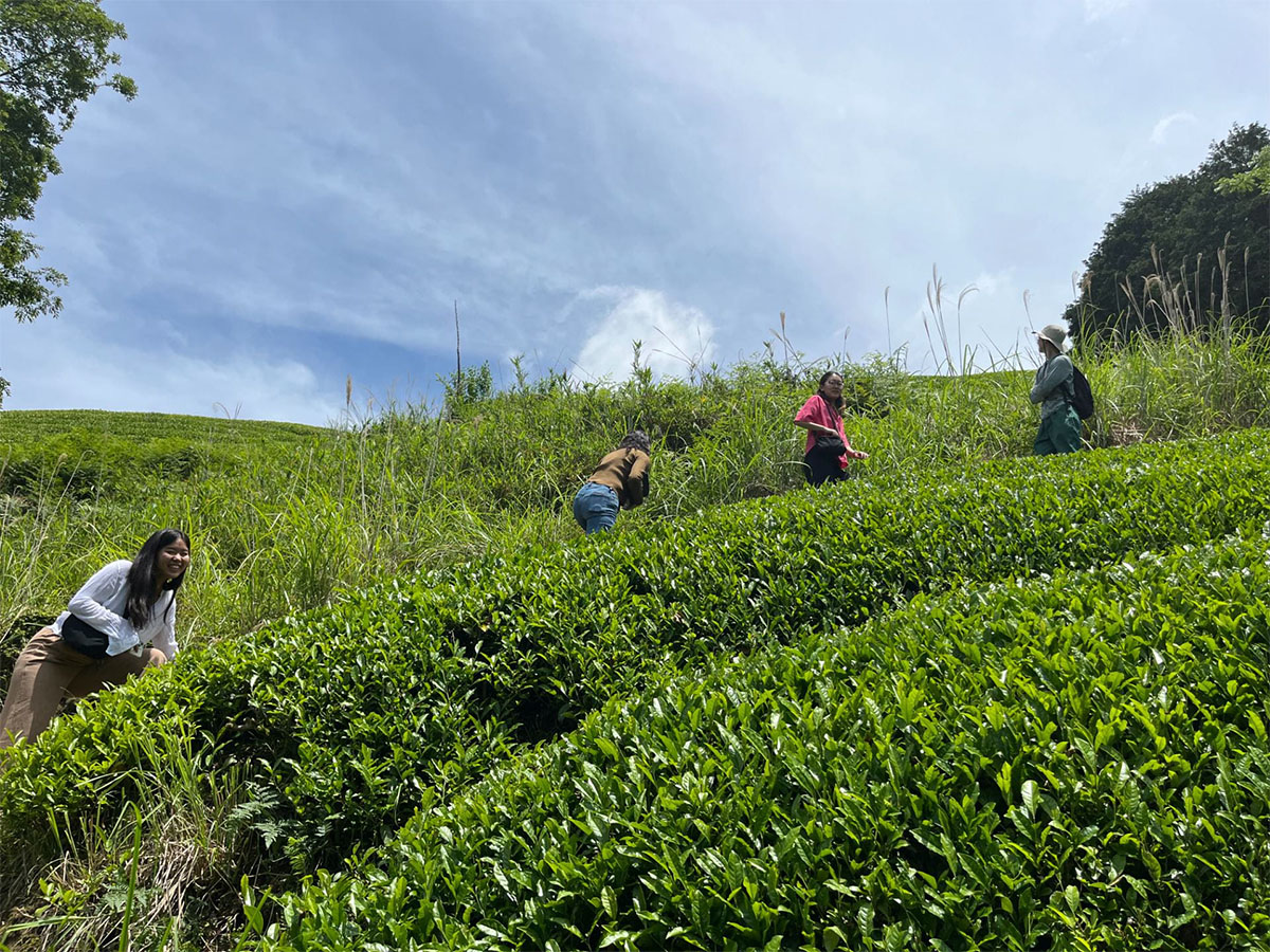 EnviroLab students in green lush field in rural Asia countryside.