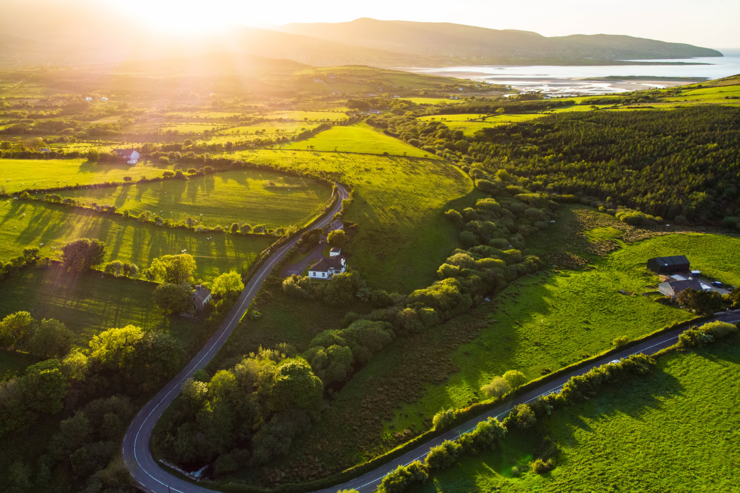 Road winding through the Irish countryside
