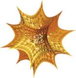 Mathematica Logo