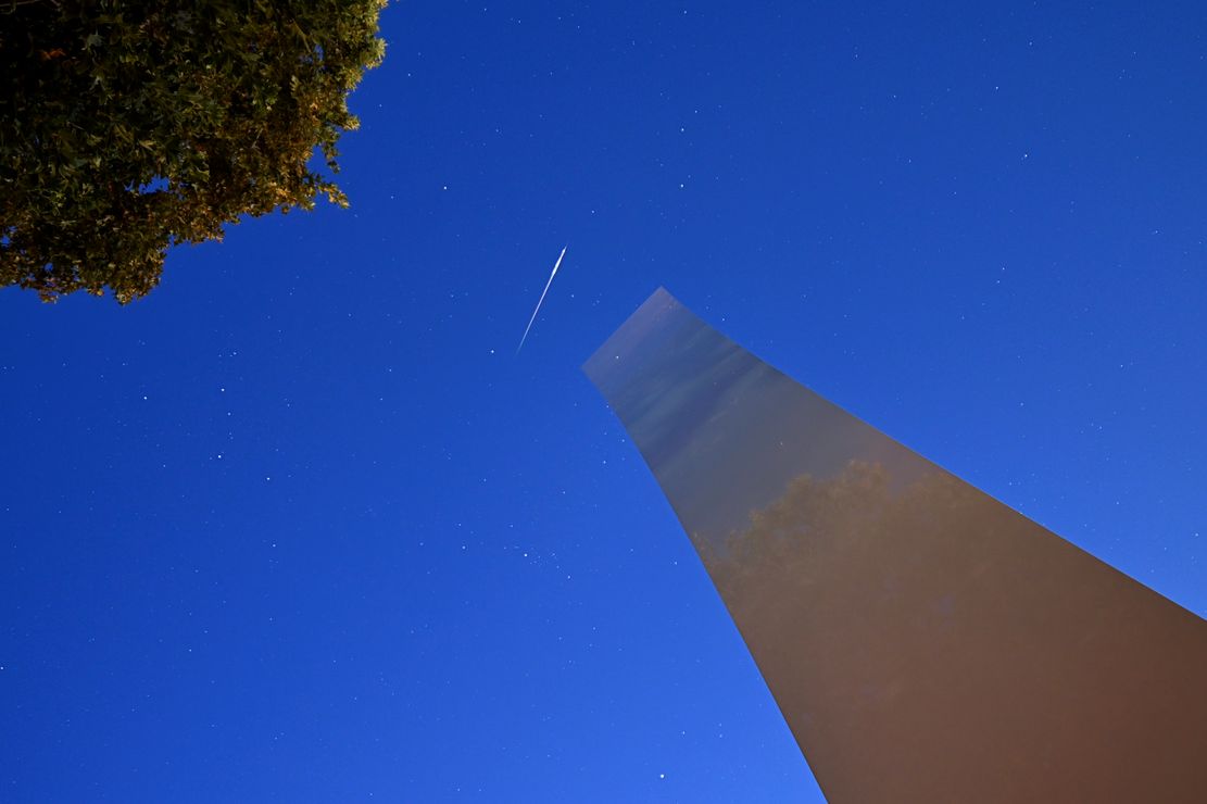 Ellsworth Kelly Sculpture