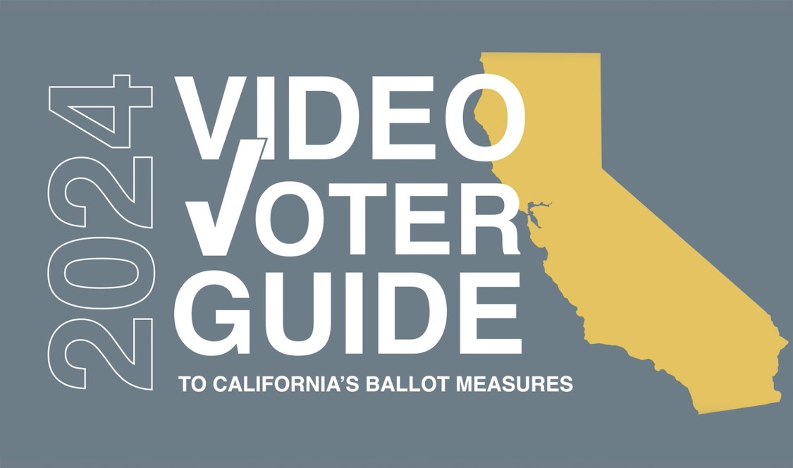 Video Voter Guide graphic 3