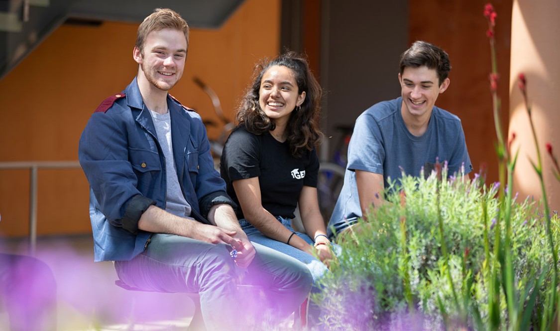 Appel fellows