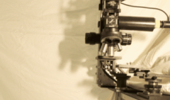 Swingscope