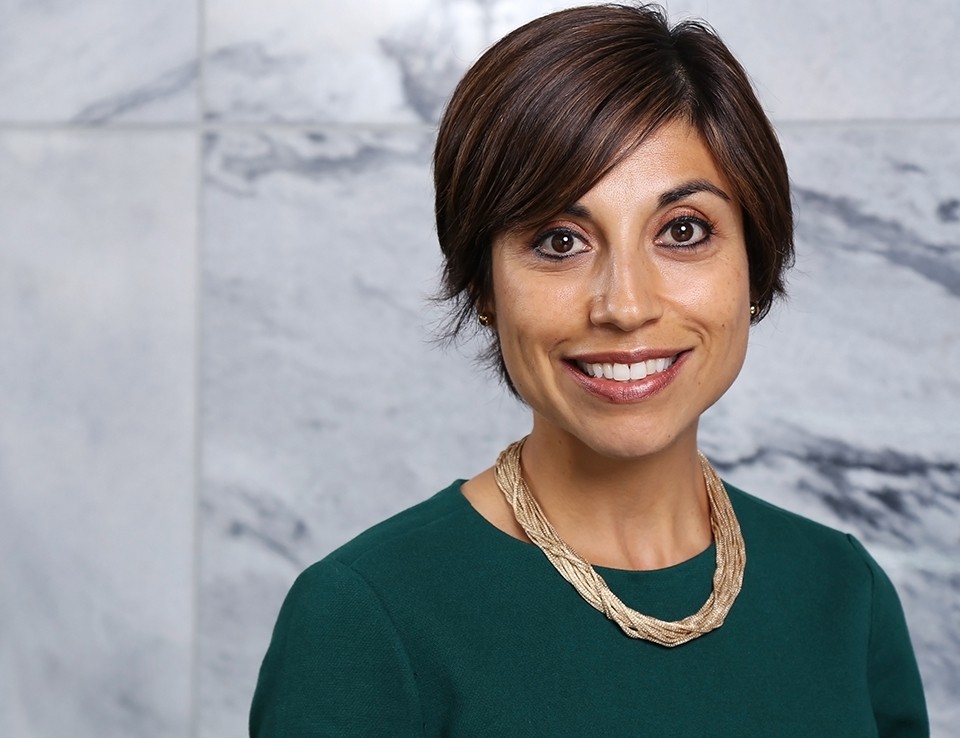 Mehrsa Baradaran