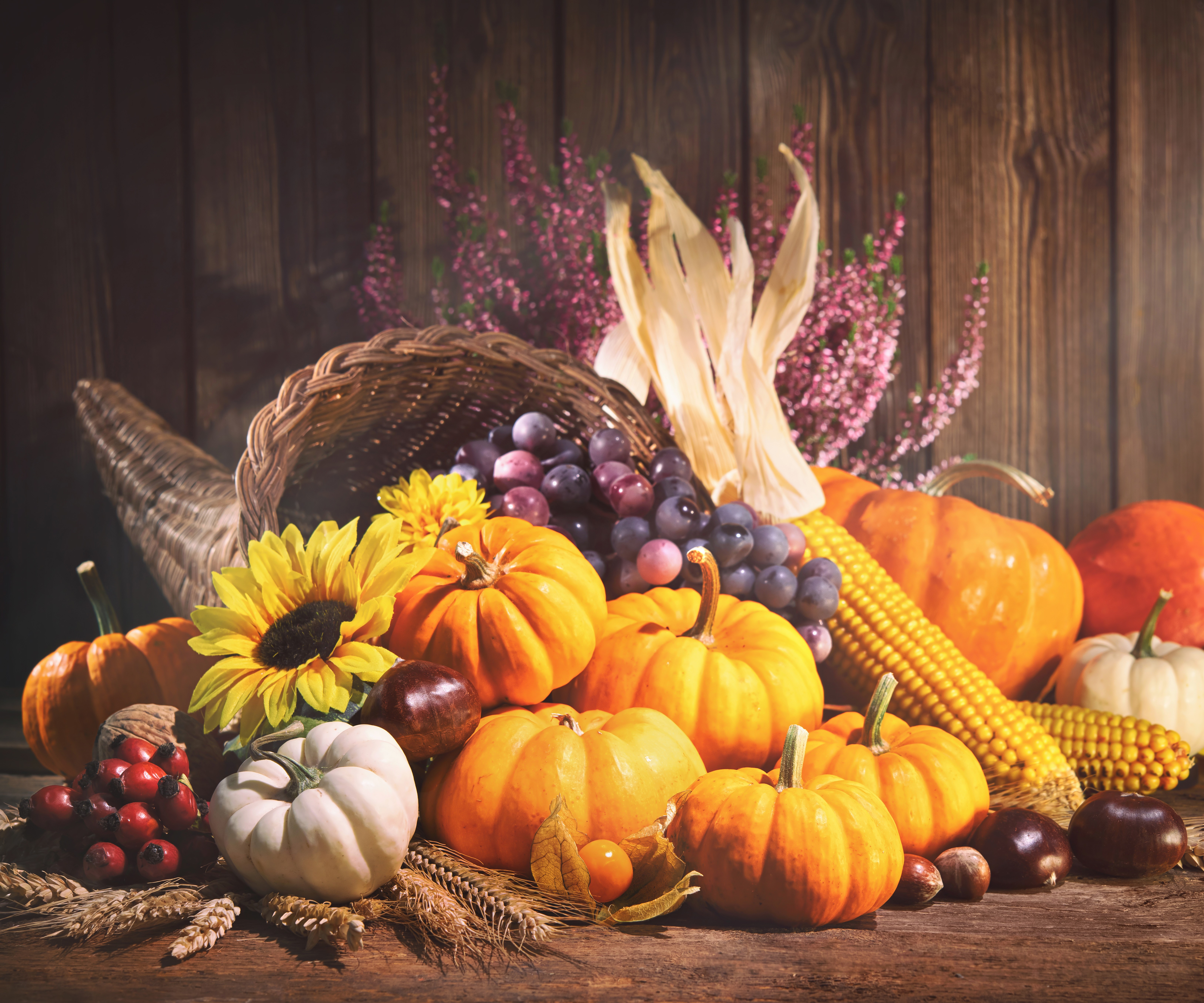 Cornucopia
