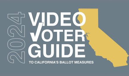 Video Voter Guide graphic 3